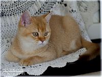 /napoleon