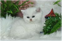 /gilbert