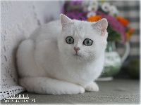 /gabriela