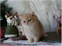 /yliana