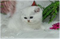 /gilbert