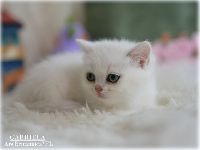 /gabriela