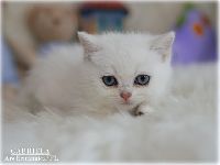 /gabriela