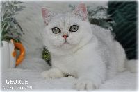 /george