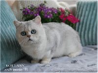 /vadim