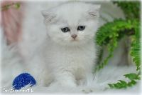 /gilbert