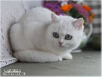 /gabriela