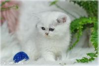 /gilbert