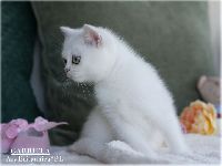 /gabriela