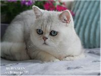 /vadim