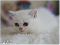/gabriela