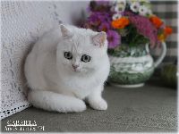 /gabriela