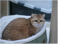/paloma