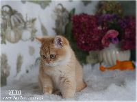 /zuri