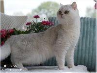 /ruslan